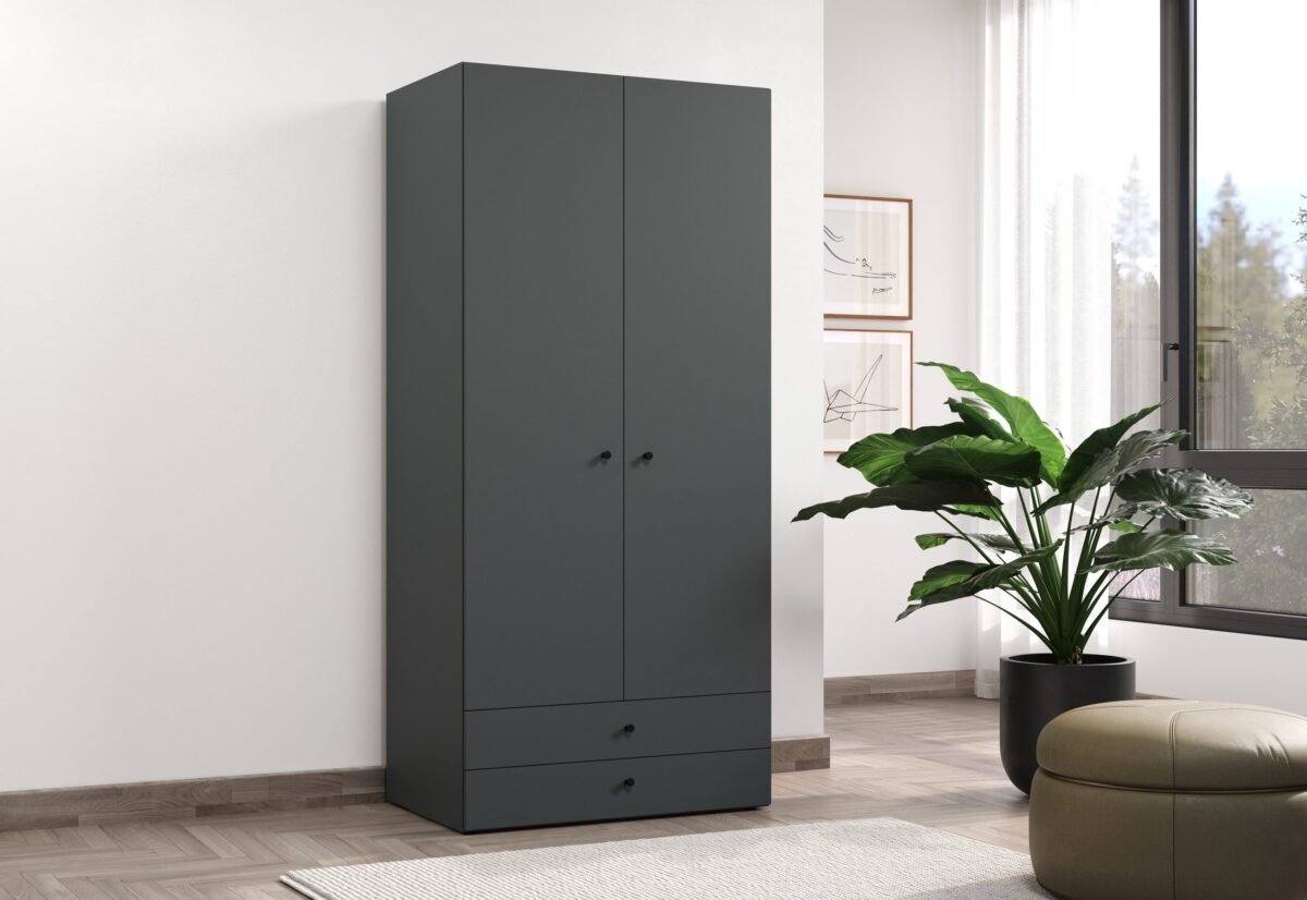 Wardrobe 200×100 cm Dark Grey – 2 Doors - Image 1