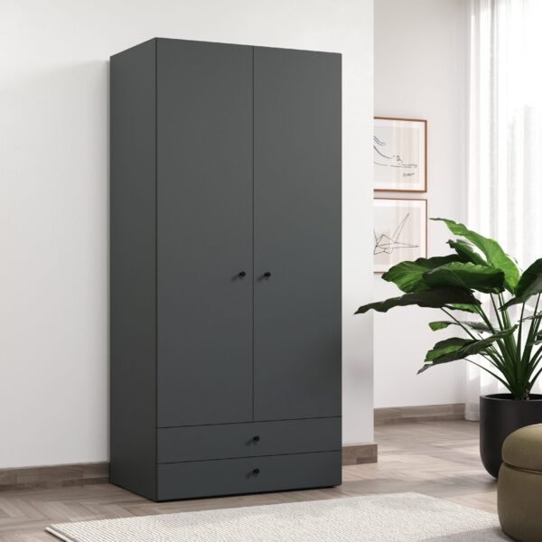 Wardrobe 200×100 cm Dark Grey – 2 Doors